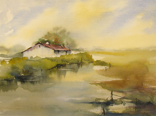 Dans le marais audomarois
