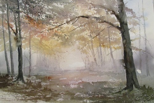 Sous-bois (Kortenberg)