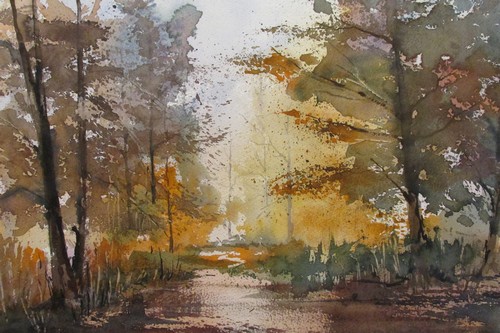 Sous-bois