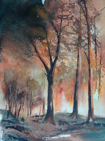 Drame de la forêt