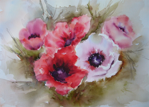 Pavots rouges et roses