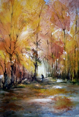 Foret en automne