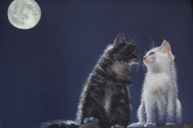 Chatons au clair de lune