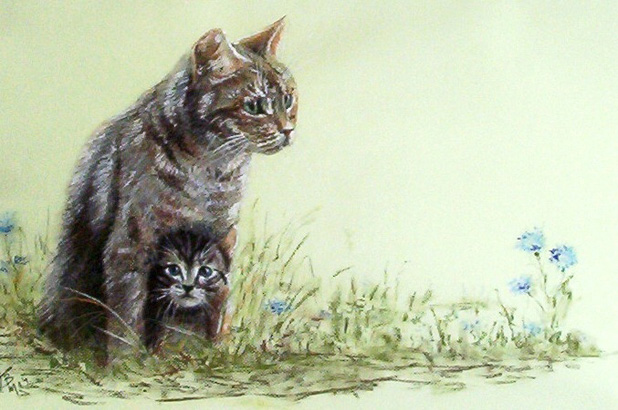 Chats